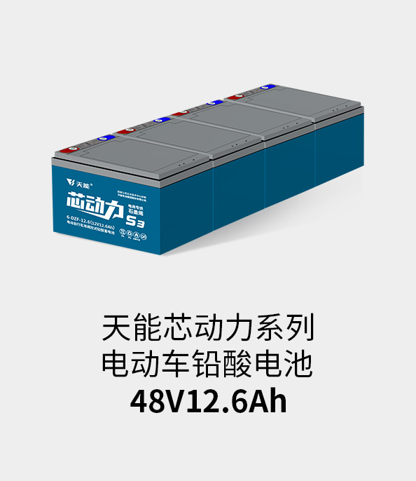 royal皇家88电池48v12ah