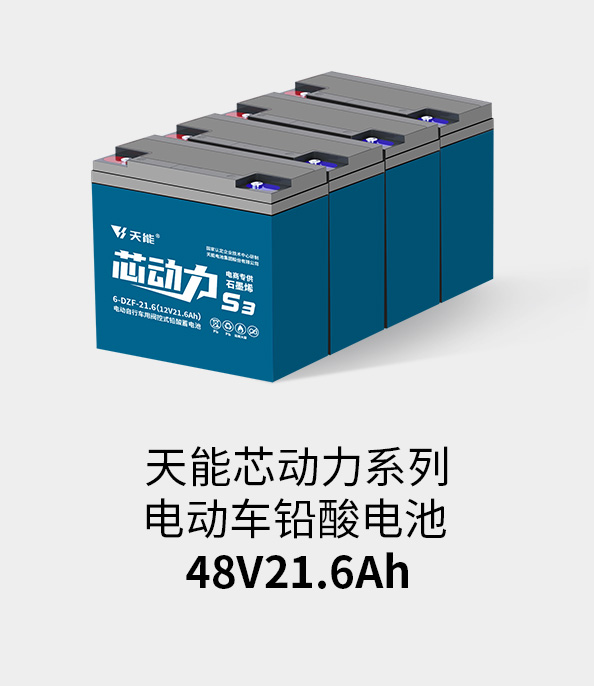 royal皇家88电池48v20ah
