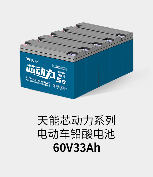 royal皇家88电池60v33ah