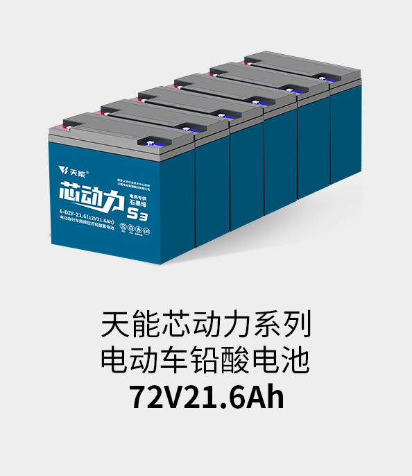 royal皇家88电池72v20ah