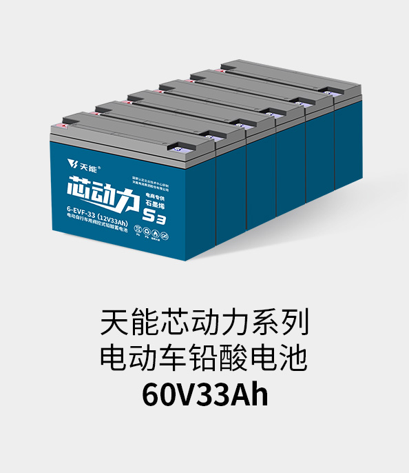 royal皇家88电池72v33ah