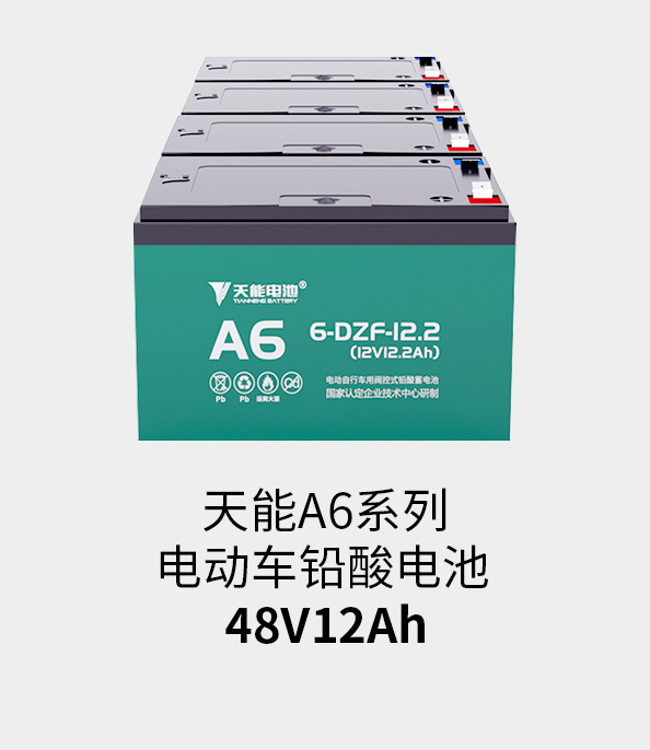 royal皇家88电池48v12ah