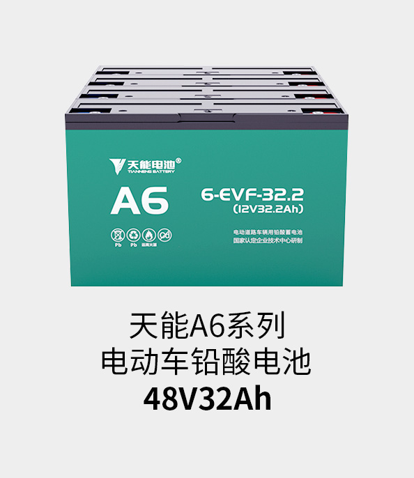 royal皇家88电池48v32ah