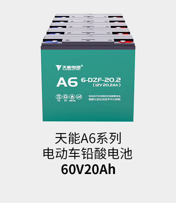 royal皇家88电池60v20ah