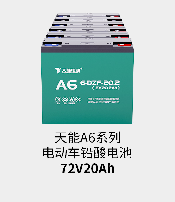 royal皇家88电池72v20ah
