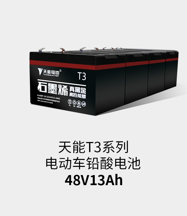 royal皇家88T3系列48v13ah