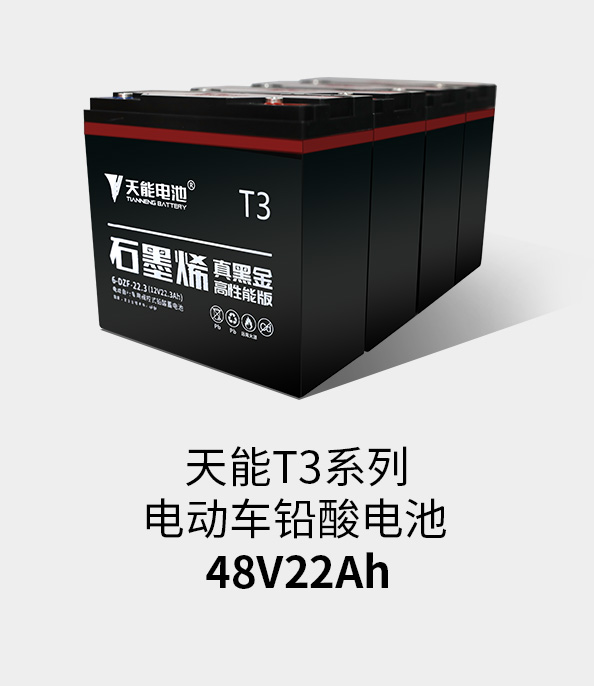 royal皇家88T3系列48v22ah