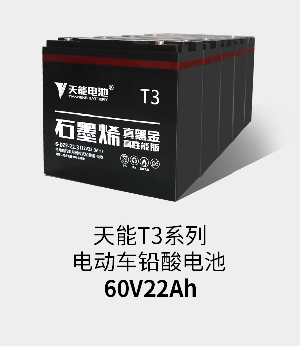 royal皇家88T3系列60v22ah