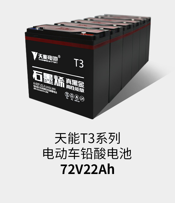 royal皇家88T3系列72v22ah